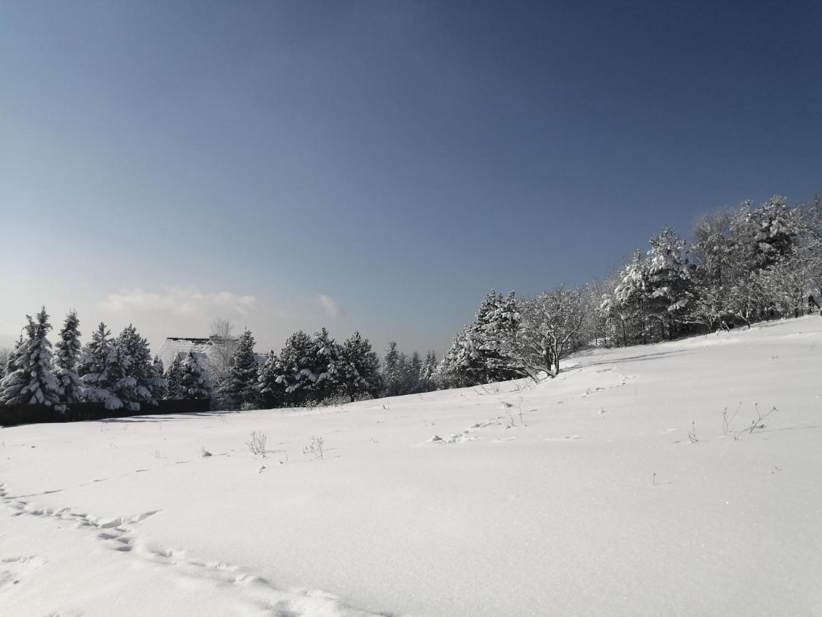 Vila Goralska Ostoja Pcim Exteriér fotografie